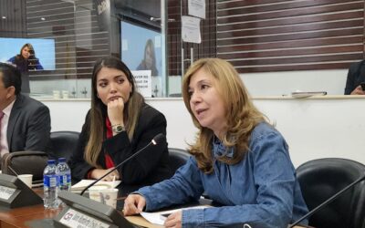 “Las empresas de cigarrillos electrónicos y vapeadores hacen lobby para impedir su regulación”: Norma Hurtado Sánchez